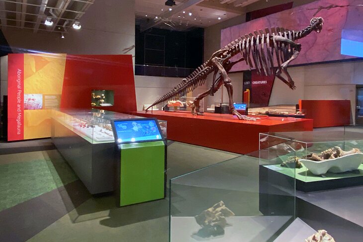 Dinosaur skeletons at the Queensland Museum