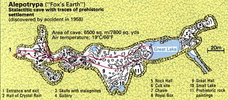 Fox Earth