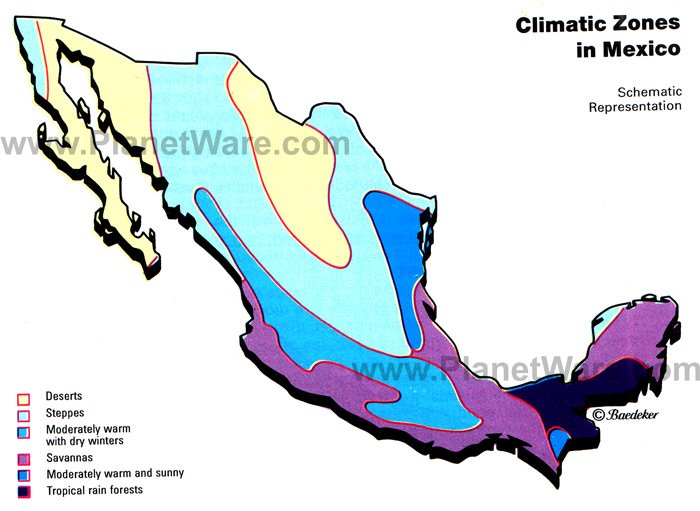 Savanna Climate Zone