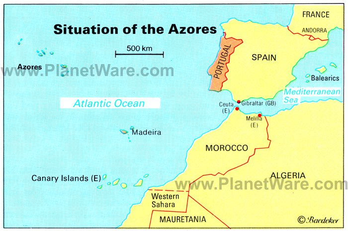 coniferous forest map. fine coniferous forests.