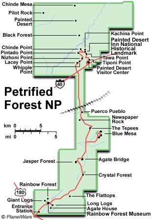 The Petrified Forest National