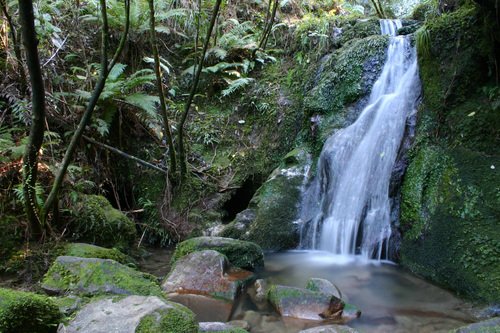 abel-tasman-national-park-nelson-marlborough-nz677.jpg
