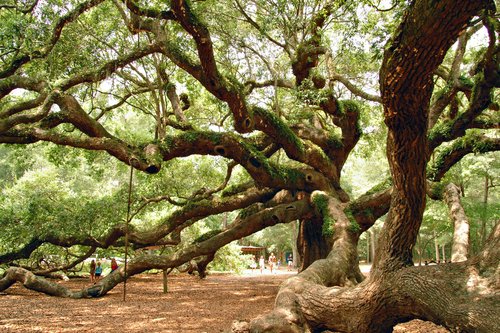 Cool Systems Johns Island Sc Cool Systems Johns Island Sc