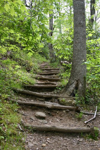 Nature Stairs in Woods, Asheville, North Carolina.
