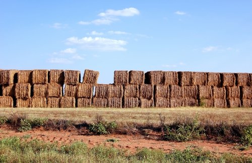 Bales Of Hay. Bales of Hay stacked on a farm