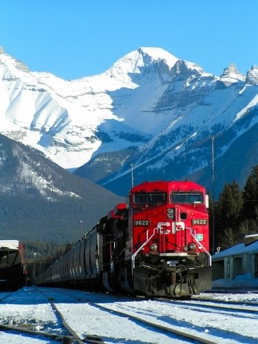 A train through Banff National Park. A train through Banff National Park.