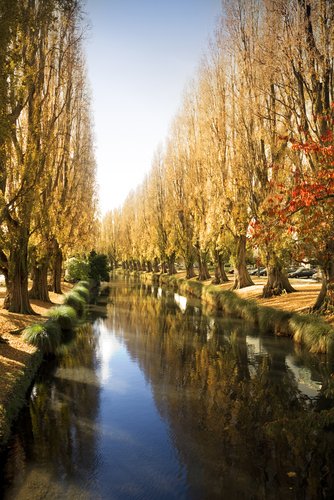 River Avon Christchurch