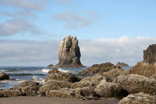 cannon-beach-or275.jpg