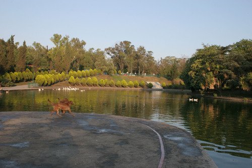 mexico city mexico. Chapultepec Park, Mexico City.