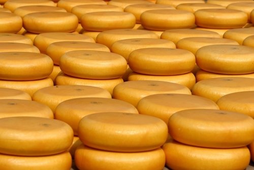 Alkmaar Cheese Market