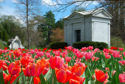 cincinnati attractions