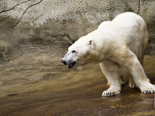 Cleveland Metroparks Zoo