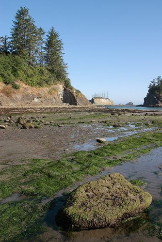 Low tide at Sunset Bay State Park near Coos Bay.