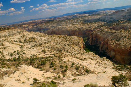 Canyon through Escalante State Park.