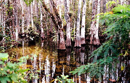 Everglades National Park