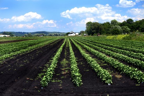 Orange County Ny. Orange County, New York.