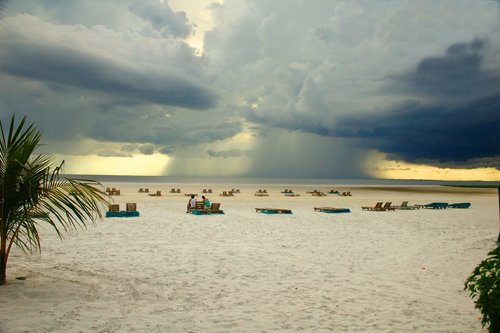 http://www.planetware.com/i/photo/florida-southwest-around-fort-meyers-naples-fla215.jpg