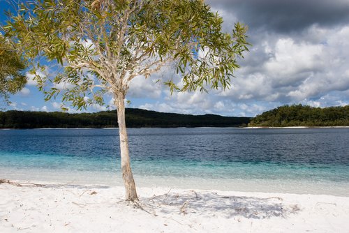 Lake McKenzie on Fraser Island fraser island australia. Lake McKenzie on Fraser Island