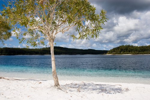 fraser island australia. Lake McKenzie on Fraser Island