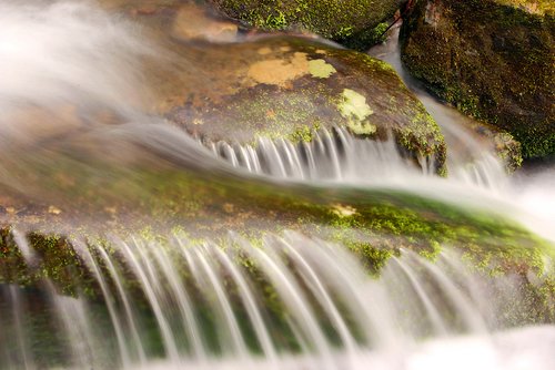 great-smoky-mountains-national-park-gatlinburg-tn212.jpg