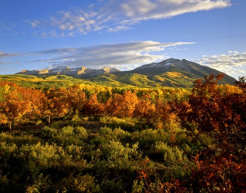 gunnison-national-forest-colorado-col175.jpg