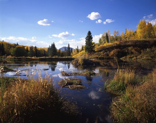 picture view from kelber pass road in gunnison national forest Gunnison National Forest 500x395