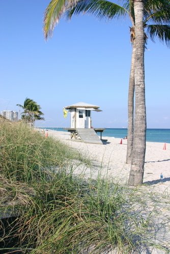 Attractions Tampa Florida Tampa Fla The Beach Life Florida|Cloth ... Attractions Tampa Florida Tampa Fla The Beach Life Florida|Cloth ...