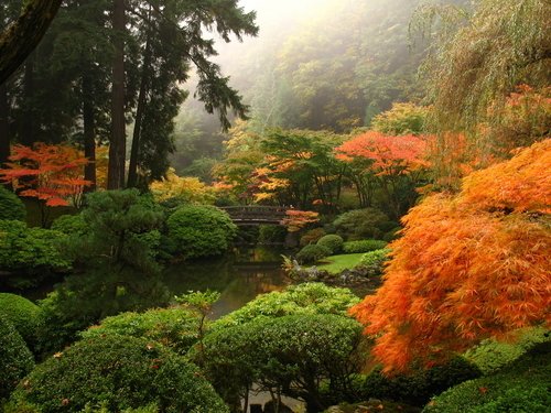 http://www.planetware.com/i/photo/japanese-gardens-portland-or396.jpg