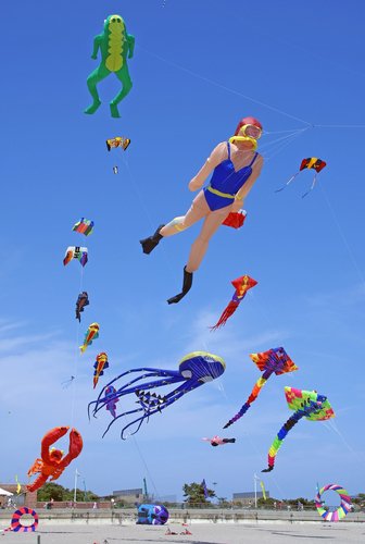 Kites of all designs at the Kite Festival in Jacob Riis Park.