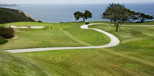 torrey pines golf courses