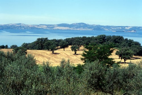 [Immagine: lago-di-bolsena-lazio-north-of-rome-ir1671.jpg]