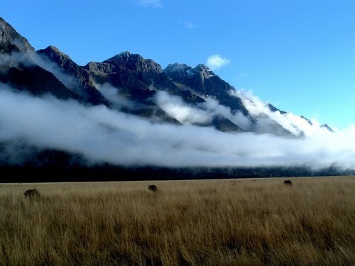 Picture of Lake Te Anau, Southland - Mountains near Lake Te Anau. Picture of Lake Te Anau, Southland - Mountains near Lake Te Anau.