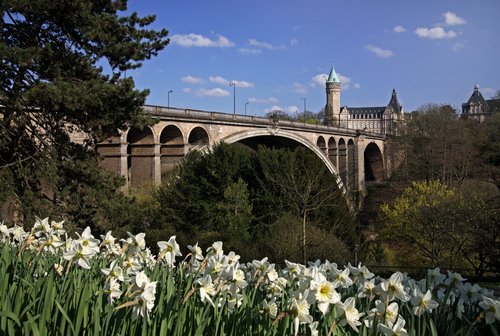 Pont Adolphe