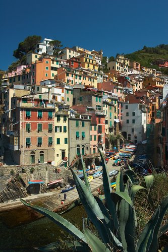 Monterosso al Mare information. Hillside homes in Monterosso.