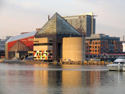 http://www.planetware.com/i/photo/national-aquarium-baltimore-mdbt10.jpg