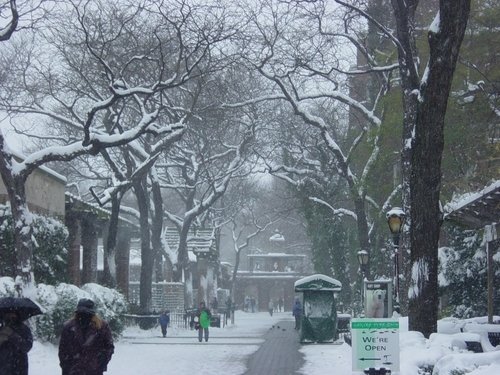 central park new york winter. central park new york city.