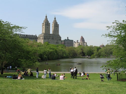 sunbathers in central park ny. central park ny.