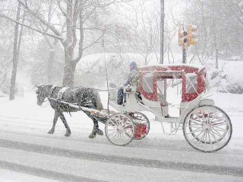 Red and white carriage in snow storm, New York City.
