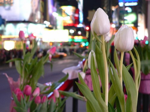 time square nyc. New York City. Times Square