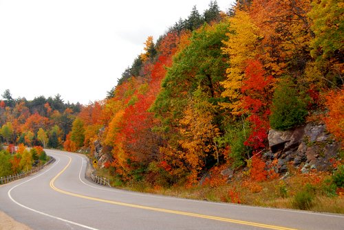 ontario-onflvs2.jpg