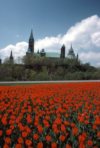 http://www.planetware.com/i/photo/ottawa-onot009.jpg