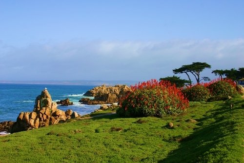 pacific-grove-ca431.jpg