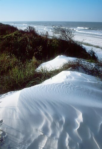 beach sand dunes. Sand dunes at Panama City