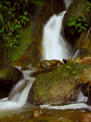 10 Top-Rated Tourist Attractions in Dominica | PlanetWare 10 Top-Rated Tourist Attractions in Dominica | PlanetWare