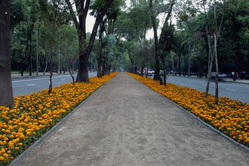 Reforma Mexico City