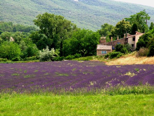 provence-region-f1183.jpg