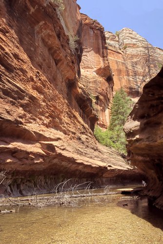 picture west fork trail in sedona planetware West Forks Trail 334x500 picture west fork trail in sedona planetware West Forks Trail 334x500