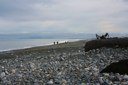 people walking on beach. People walking the each at