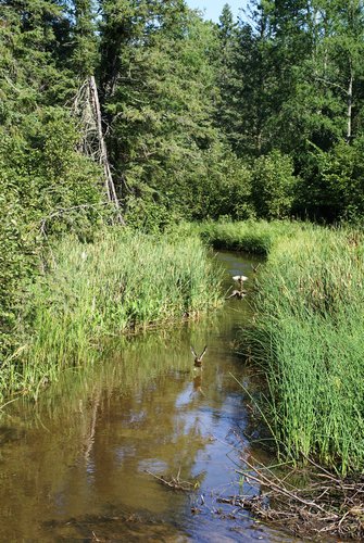 This is a video tour of the Mississippi River from Boom Island to the Stone 