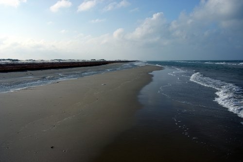 South Padre Island Attractions Coupons South Padre Island Attractions Coupons